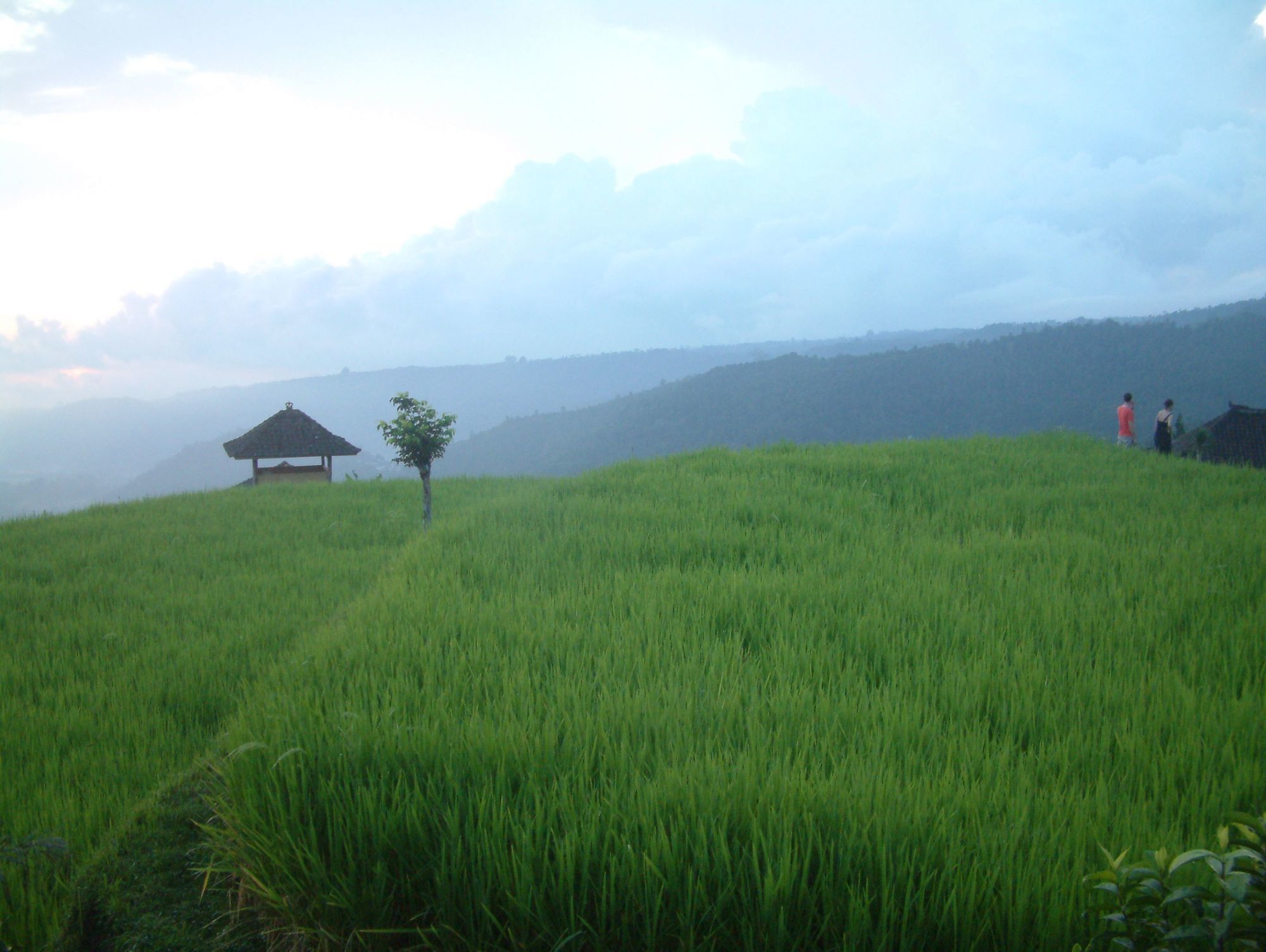 Puri Lumbung Cottages Gobleg  Exteriör bild