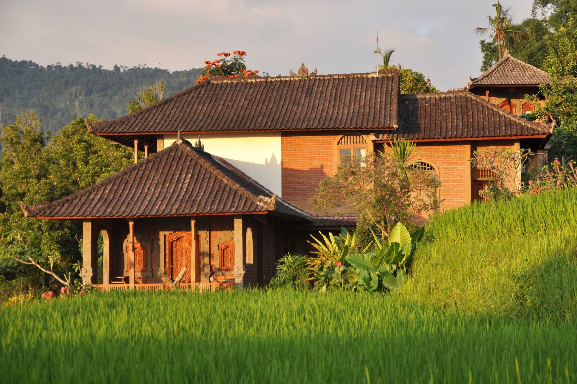 Puri Lumbung Cottages Gobleg  Exteriör bild