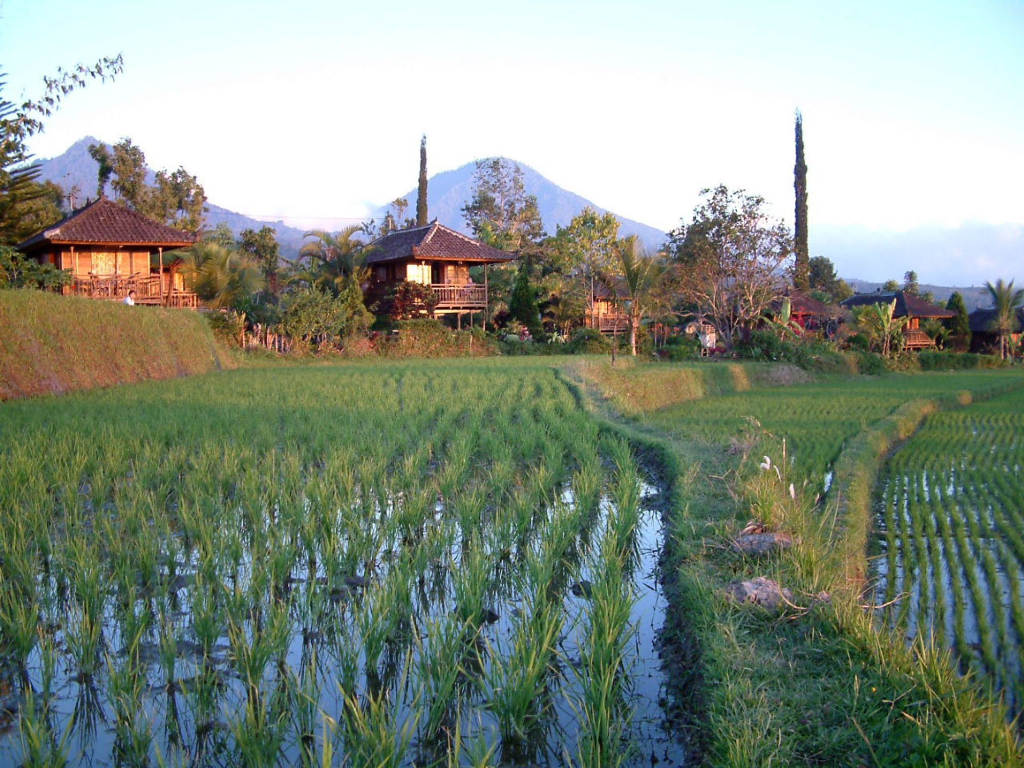 Puri Lumbung Cottages Gobleg  Exteriör bild