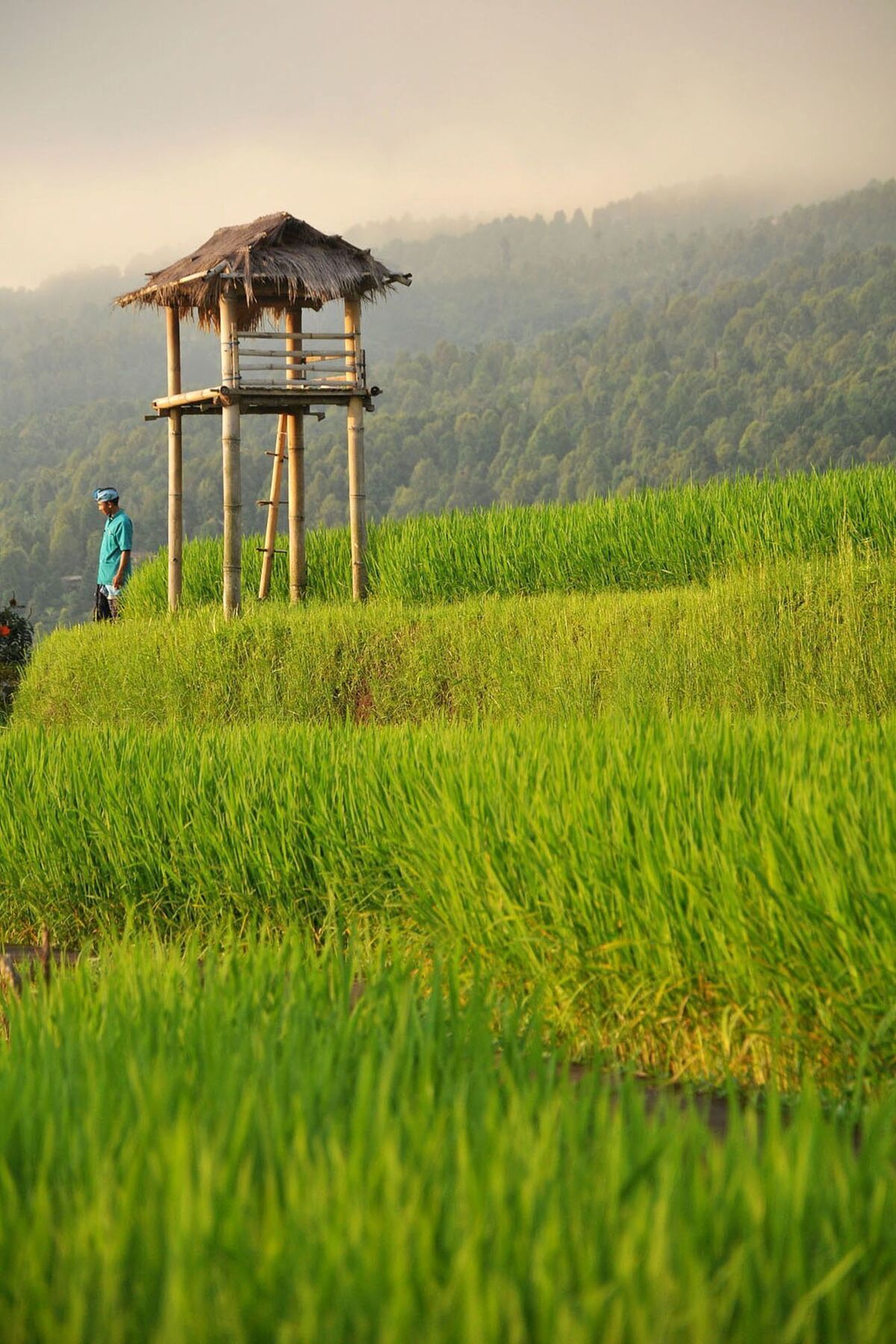 Puri Lumbung Cottages Gobleg  Exteriör bild