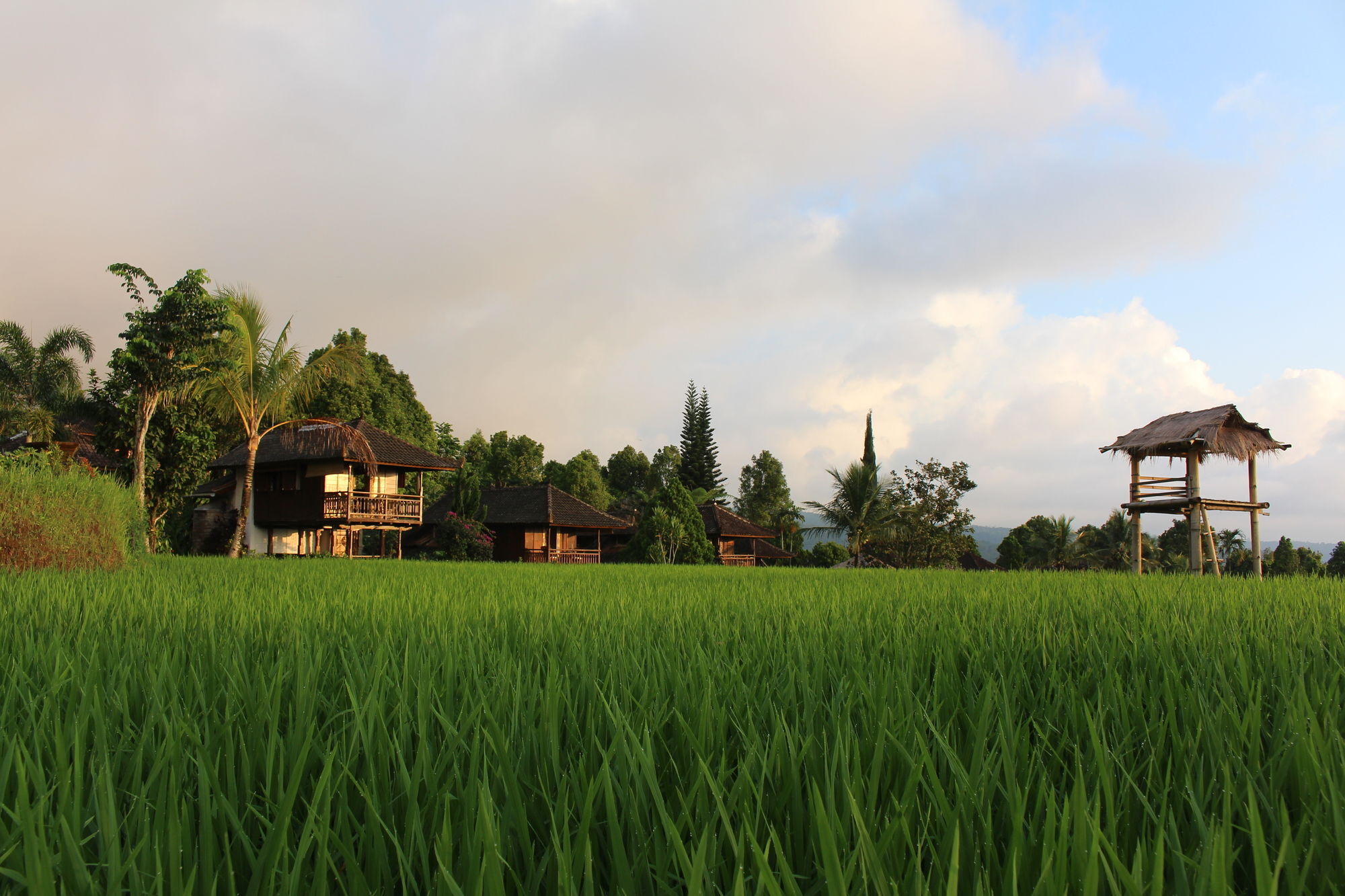 Puri Lumbung Cottages Gobleg  Exteriör bild